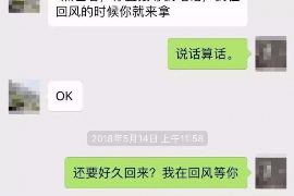 金平专业讨债公司有哪些核心服务？